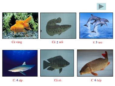 Bài giảng Mĩ thuật Lớp 1 - Bài 13: Vẽ cá