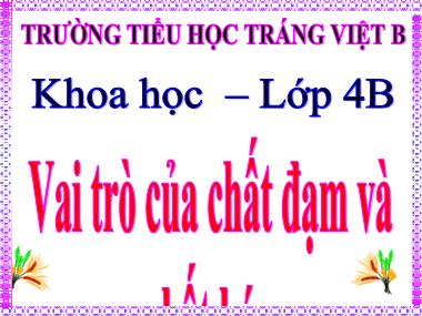 Bài giảng Khoa học Lớp 4 - Bài 5: Vai trò của chất đạm và chất béo - Trường Tiểu học Tráng Việt B