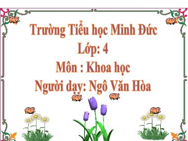 Bài giảng Khoa học Lớp 4 - Bài 60: Nhu cầu không khí của thực vật - Ngô Văn Hòa