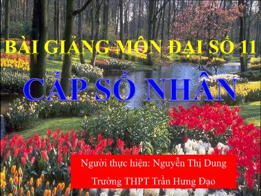 Bài giảng Toán số Khối 11 - Cấp số nhân - Nguyễn Thị Dung