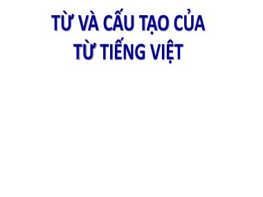 Bài giảng môn Ngữ văn Khối 6 - Từ và cấu tạo từ Tiếng Việt