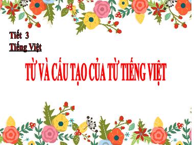 Bài giảng Ngữ văn Khối 6 - Tiết 3: Từ và cấu tạo từ Tiếng Việt
