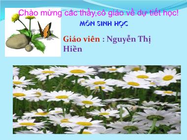 Bài giảng Sinh học Lớp 9 - Bài 21: Đột biến gen - Nguyễn Thị Hiền