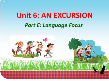 Bài giảng Tiếng anh Lớp 10 (Sách cũ) - Unit 6: An excursion - Part E: Language focus