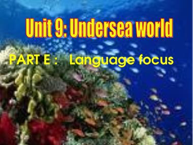 Bài giảng Tiếng anh Lớp 10 (Sách cũ) - Unit 9: Undersea world - Part E: Language focus