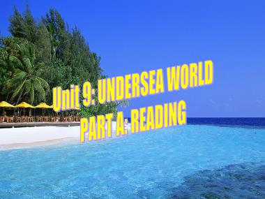 Bài giảng Tiếng anh Lớp 10 (Sách cũ) - Unit 9: Undersea world - Part A: Reading