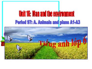 Bài giảng Tiếng anh Lớp 6 - Unit 16, Section A: Man and the environment