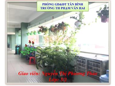 Bài giảng Tiếng việt Khối 5 - Tập đọc: Thư gửi các học sinh - Nguyễn Thị Phương Thảo