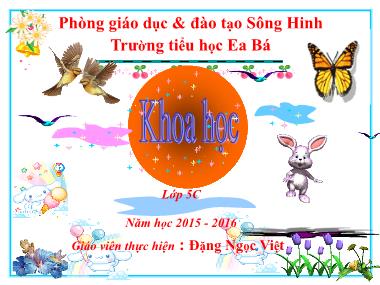 Bài giảng Khoa học Lớp 5 - Bài 12: Phòng bệnh sốt rét - Đặng Ngọc Việt