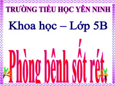 Bài giảng Khoa học Lớp 5 - Bài 12: Phòng bệnh sốt rét - Trường Tiểu học Yên Ninh