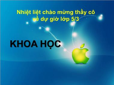 Bài giảng Khoa học Lớp 5 - Bài 26: Đá vôi - Năm học 2013-2014