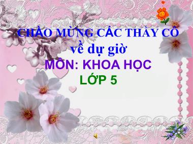 Bài giảng Khoa học Lớp 5 - Bài 29: Thủy tinh - Năm học 2013-2014