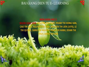 Bài giảng Khoa học Lớp 5 - Bài 54: Cây con có thể mọc lên từ một số bộ phận của mẹ