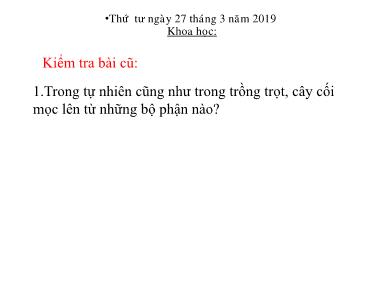 Bài giảng Khoa học Lớp 5 - Bài 55: Sự sinh sản của động vật - Năm học 2018-2019