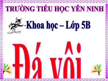 Bài giảng môn Khoa học Lớp 5 - Bài 26: Đá vôi - Trường Tiểu học Yên Ninh