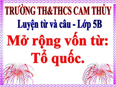 Bài giảng môn Tiếng việt Lớp 5 - Luyện từ và câu: Mở rộng vốn từ Tổ quốc - Trường TH và THCS Cam Thủy