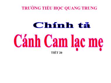 Bài giảng Tiếng việt Lớp 5 - Chính tả: Cánh Cam lạc mẹ - Trường Tiểu học Quang Trung
