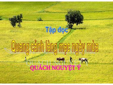 Bài giảng Tiếng việt Lớp 5 - Tập đọc: Quang cảnh làng mạc ngày mùa - Năm học 2009-2010