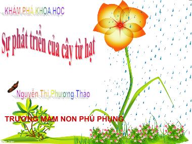 Bài giảng Khám phá khoa học Lớp lá - Sự phát triển của cây từ hạt - Nguyễn Thị Phương Thảo