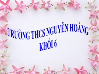 Bài giảng Số học Lớp 6 - Tiết 75: Rút gọn phân số - Trường THCS Nguyễn Hoàng