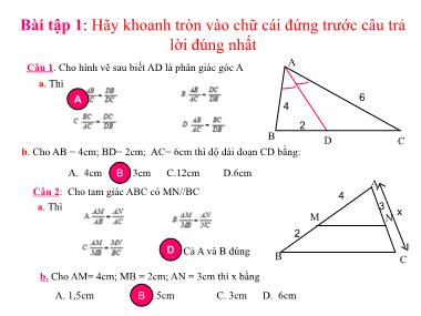 Bài giảng Hình học Lớp 8 - Chủ đề: Ôn tập chương 3 Tam giác đồng dạng
