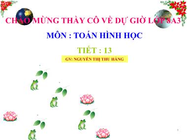 Bài giảng Hình học Lớp 8 - Tiết 13: Đối xứng tâm - Nguyễn Thị Thu Hằng