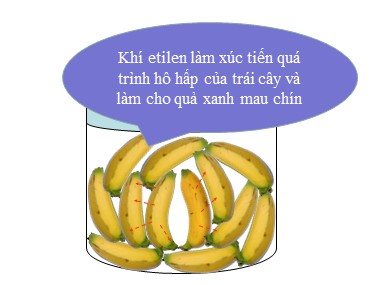 Bài giảng Hóa học Lớp 9 - Bài 37: Etilen - Nguyễn Thị Huyền