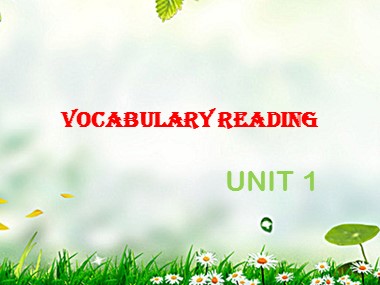 Bài giảng Tiếng Anh Lớp 11 - Unit 1: Friendship - Lesson: Vocabulary reading