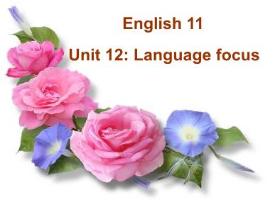 Bài giảng Tiếng Anh Lớp 11 - Unit 11: Sources of energy - Unit 12: Language focus