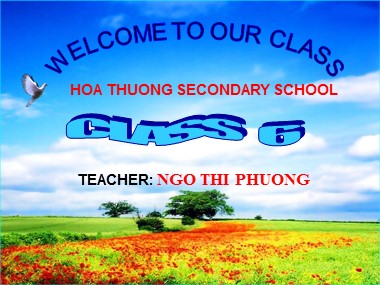 Bài giảng môn Tiếng Anh Lớp 6 - Unit 9: Cities of the world - Lesson 2: A closer look 1