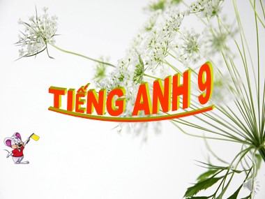 Bài giảng môn Tiếng Anh Lớp 9 - Unit 8: Celebrations - Lesson 1:  Getting started – Listen and read