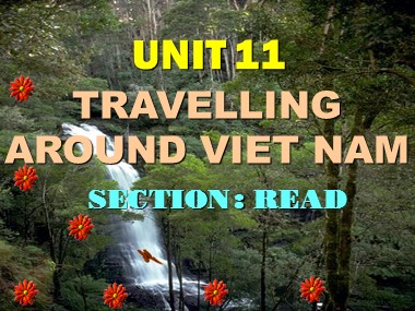 Bài giảng Tiếng Anh Lớp 8 - Unit 11: Travelling around Viet Nam - Section: Read