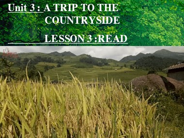 Bài giảng Tiếng Anh Lớp 9 - Unit 3: A trip to the countryside - Lesson 3: Read