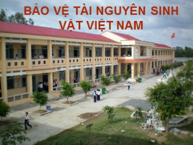 Bài giảng Địa lí Lớp 8 - Tiết 44: Bảo vệ tài nguyên sinh vật Việt Nam