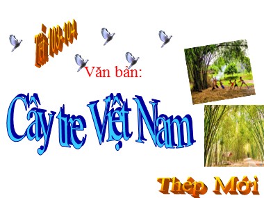 Bài giảng Ngữ văn Lớp 6 - Tiết 103+104: Cây tre Việt Nam