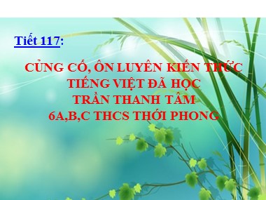Bài giảng Ngữ văn Lớp 6 - Tiết 117: Củng cố, ôn luyên kiến thức Tiếng Việt đã học - Trần Thanh Tâm