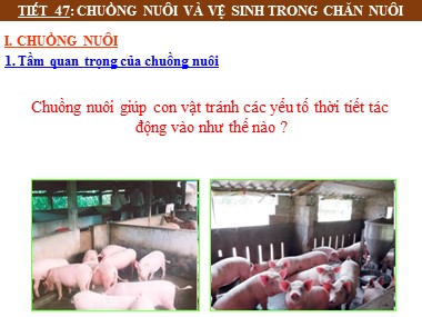 Bài giảng Công nghệ Khối 7 - Tiết 47: Chuồng nuôi và vệ sinh trong chăn nuôi