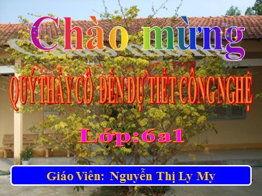 Bài giảng Công nghệ Lớp 6 - Tiết 67: Chi tiêu trong gia đình - Nguyễn Thị Ly My