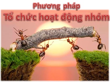 Bài giảng Kĩ năng làm việc nhóm - Bài: Phương pháp tổ chức hoạt động nhóm