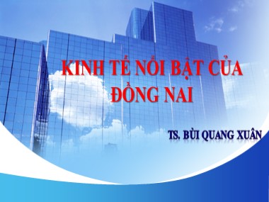 Bài giảng Kinh tế nổi bật của Đồng Nai - Bùi Quang Xuân