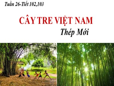 Bài giảng Ngữ văn 6 - Tiết 102+103: Cây tre Việt Nam