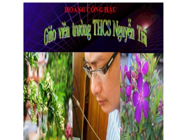 Bài giảng Ngữ văn Lớp 6 - Bài 26: Cây tre Việt Nam - Hoàng Công Hậu