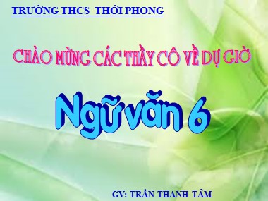 Bài giảng Ngữ văn Lớp 6 - Tiết 132: Tổng kết phần Tiếng Việt - Trần Thanh Tâm
