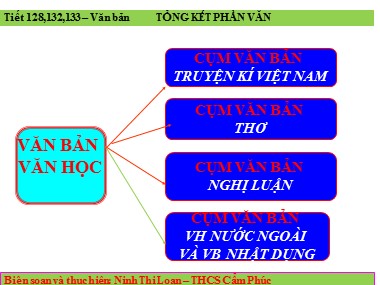 Bài giảng Ngữ văn Lớp 8 - Tiết 128, 132, 133: Tổng kết phần văn - Ninh Thị Loan