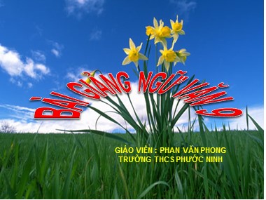 Bài giảng Ngữ văn Lớp 9 - Tiết 164+165: Tổng kết tập làm văn - Phan Văn Phong