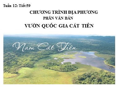 Bài giảng Ngữ văn Lớp 9 - Tiết 59: Chương trình địa phương phần Văn bản - Vườn quốc gia Cát Tiên