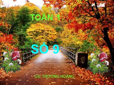 Bài giảng Toán Lớp 1 - Số 9 - Trương Hoàng