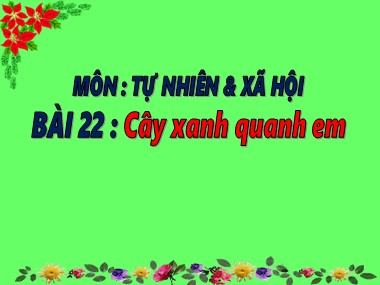 Bài giảng Tự nhiên và Xã hội Lớp 1 - Bài 22: Cây xanh quanh em