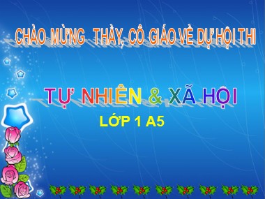 Bài giảng Tự nhiên và Xã hội Lớp 1 - Bài 23: Cây hoa - Nguyễn Thị Thanh Thủy