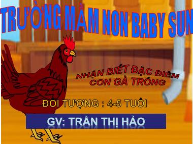 Bài giảng Mầm non Lớp Chồi - Nhận biết đặc điểm con gà trống - Trần Thị Hảo